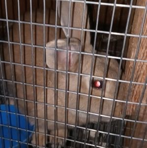 Meet your Posher, Debi